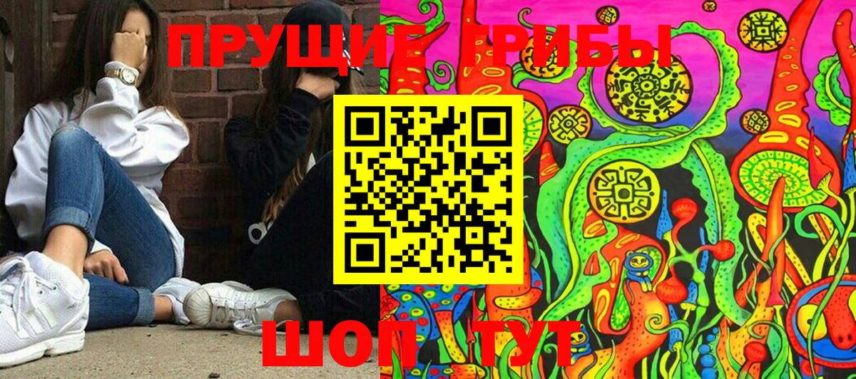Псилоцибиновые грибы ЛСД Дубна